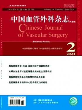 中国血管外科杂志