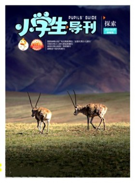小学生导刊·中年级杂志