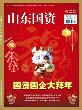 山东国资杂志