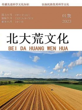 北大荒文学杂志